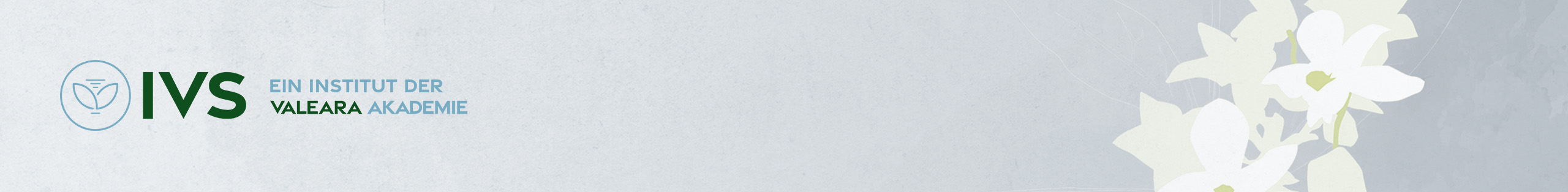 Banner_2560x314px